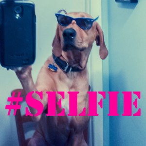 Dog Selfie